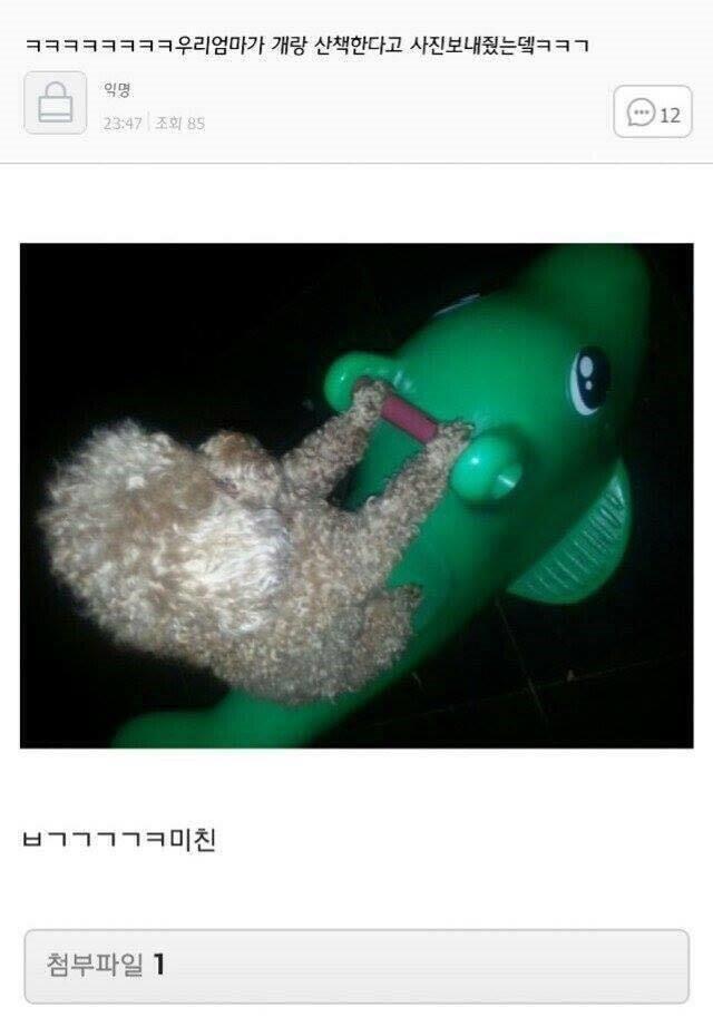 >>153 괜찮아 나도 그래