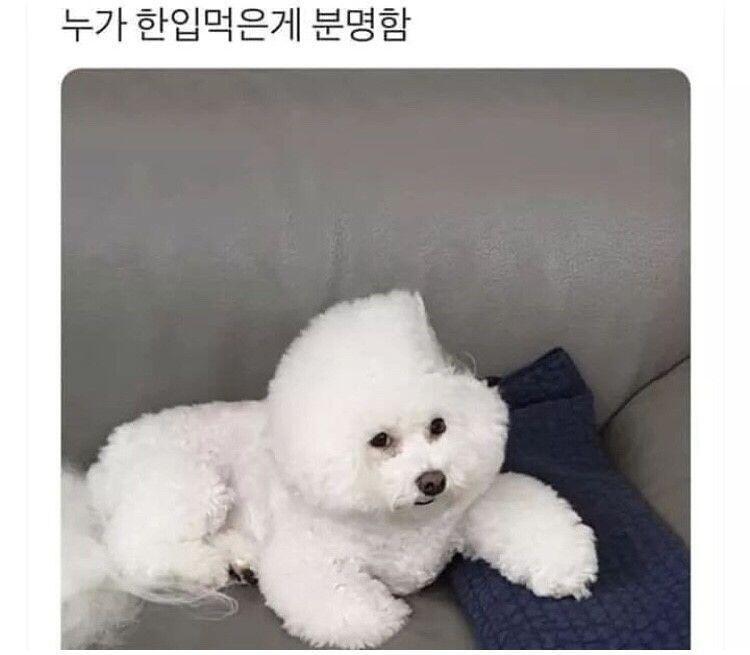 .