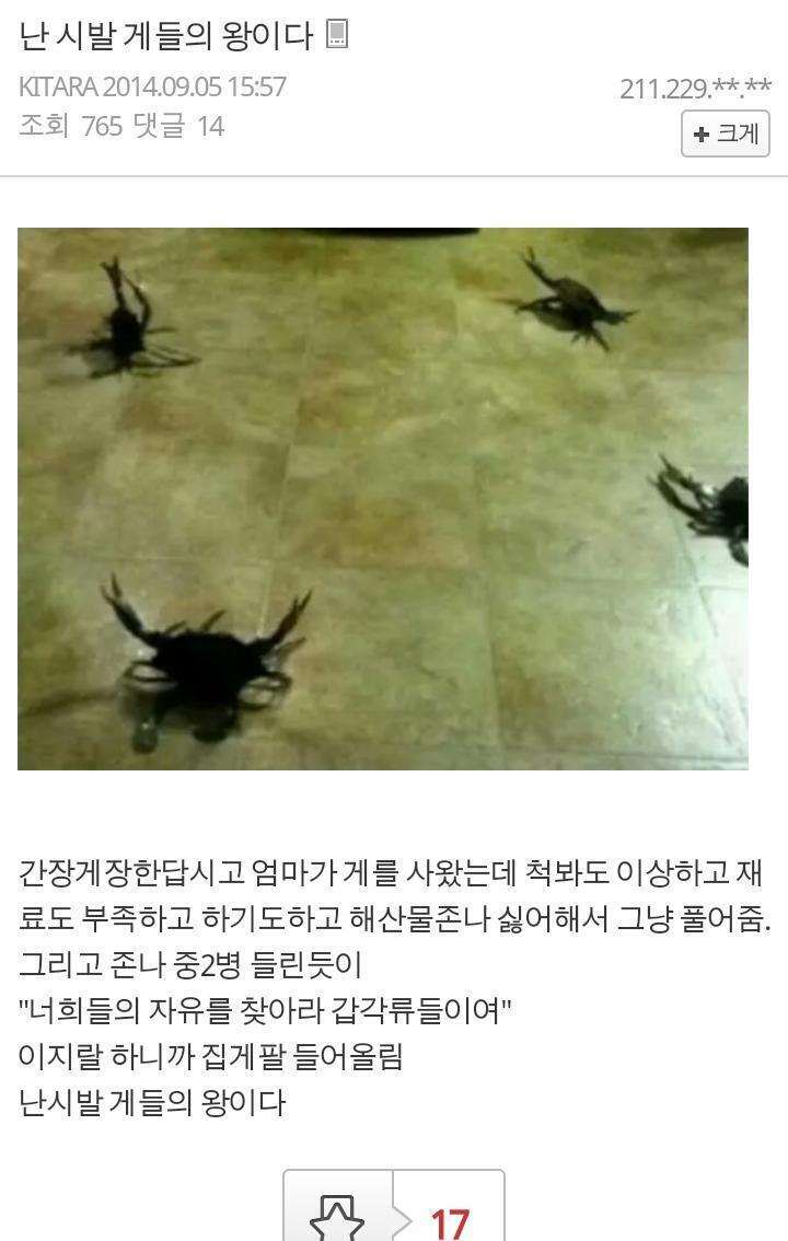 히히 다들 좋아줘서 짤털이 더함