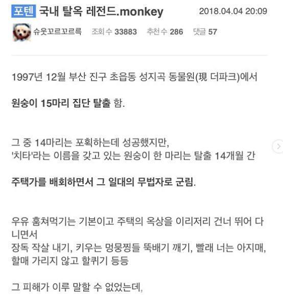 탈옥 레전드