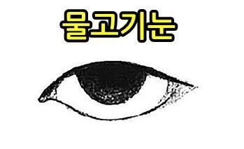 >>2 >>3 이런 눈이래
