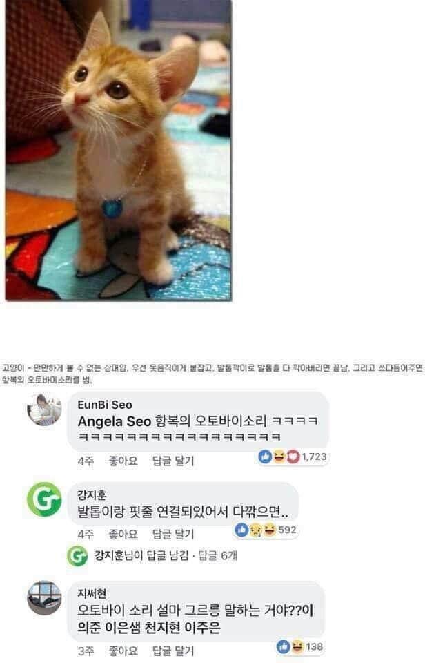 동물제압3