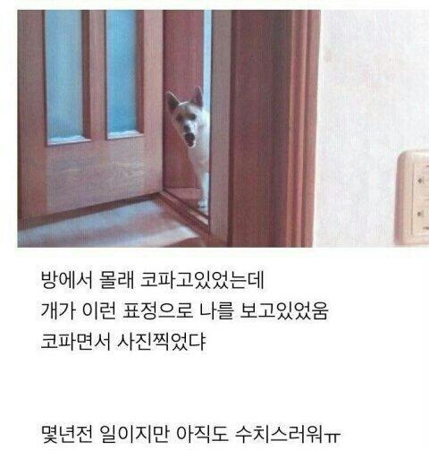 세번째는 프사하기 좋은짤