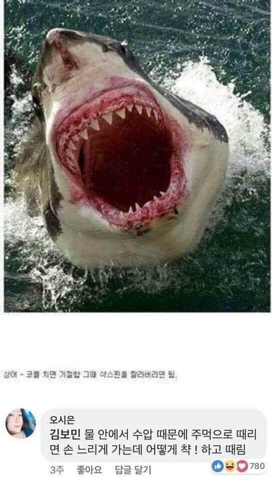 동물재압1