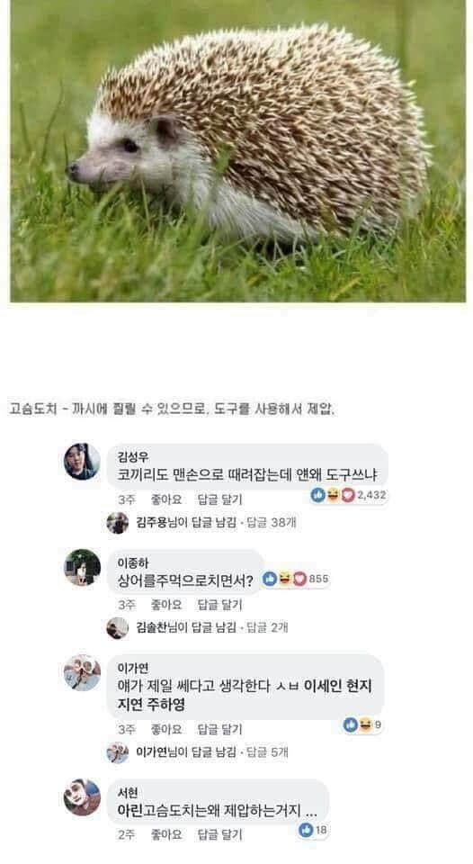 동물제압4