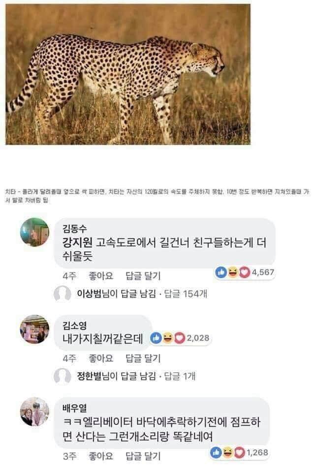 동물제압2
