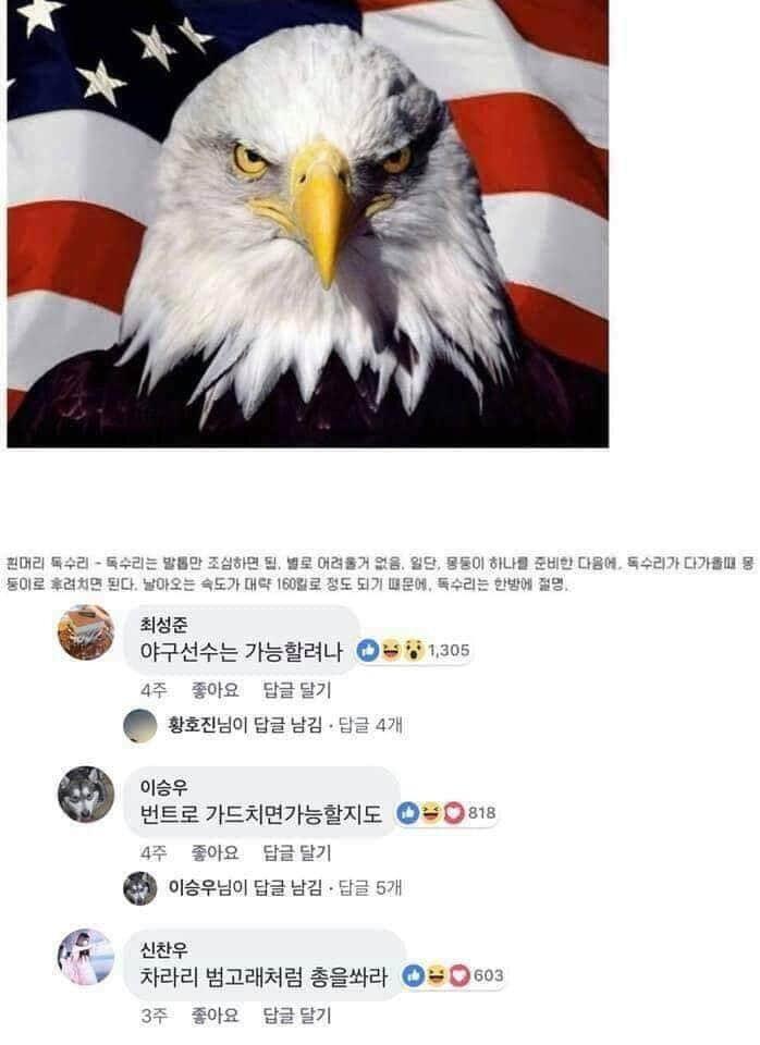 동물제압3