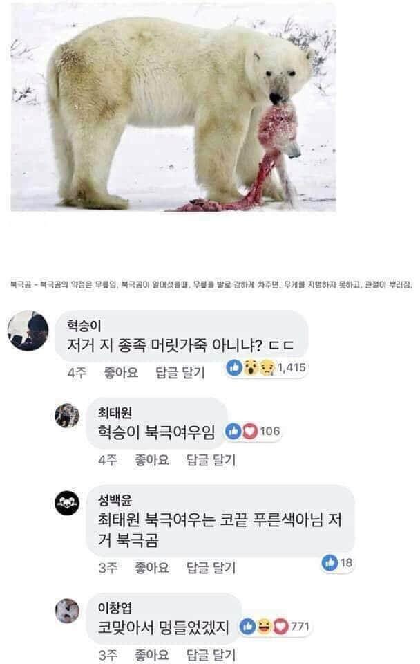 동물제압2