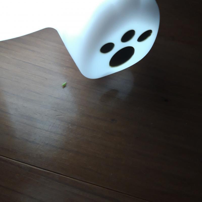 이거봐 >>2