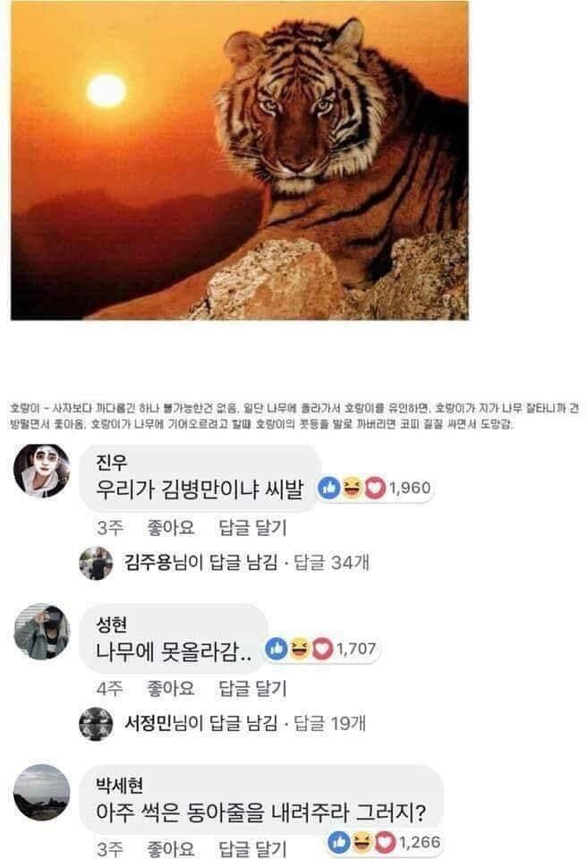 동물제압2