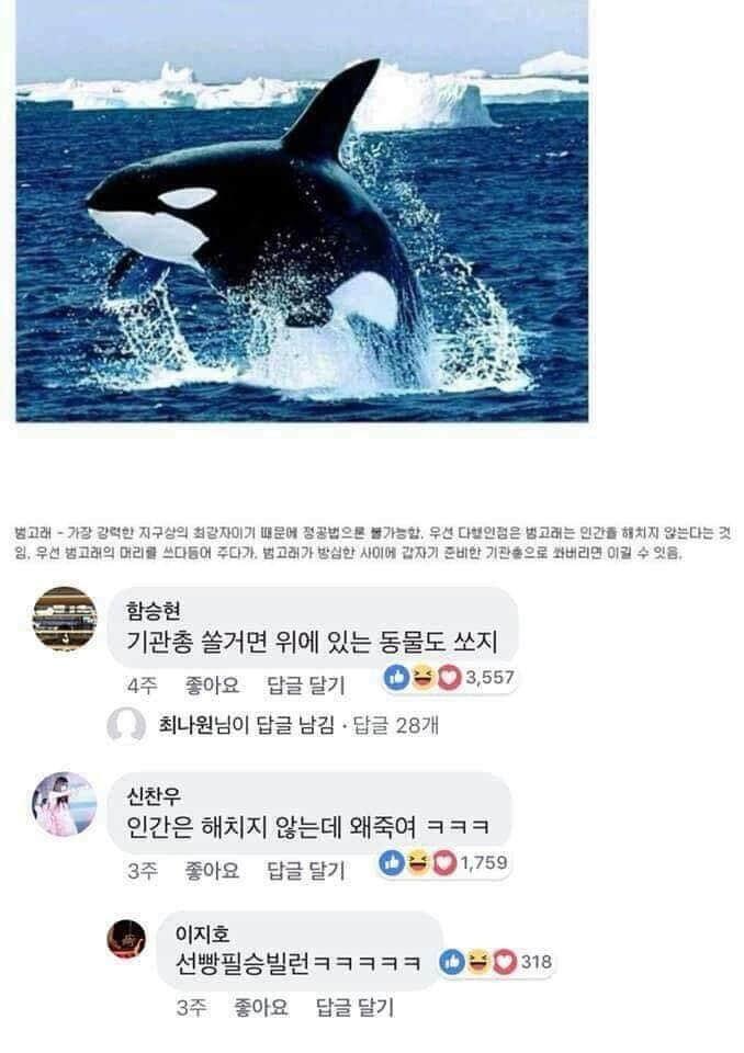 동물제압3