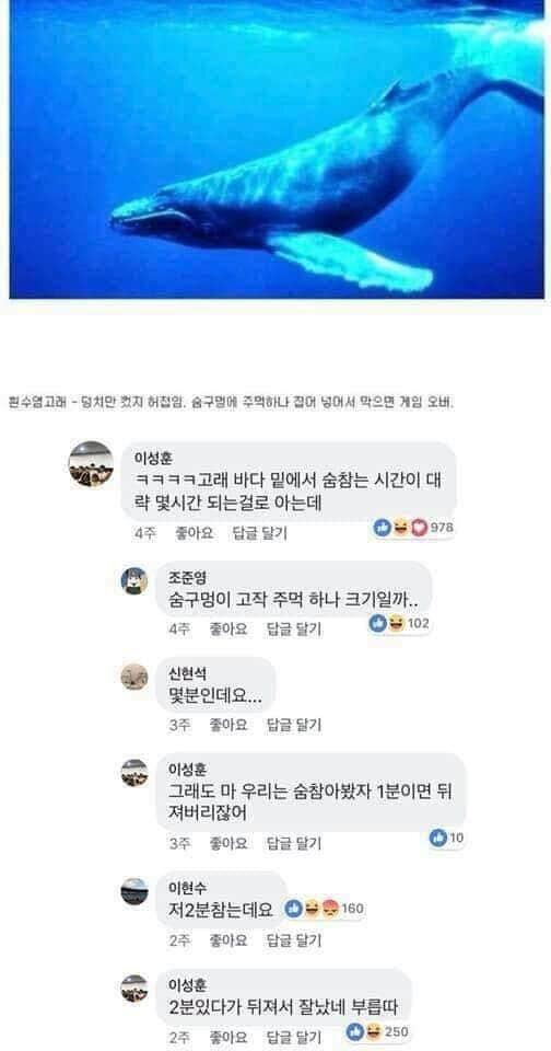 동물제압4