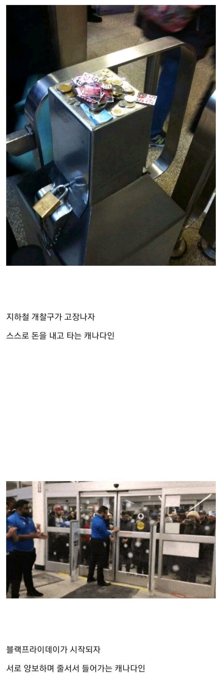 캐나다인