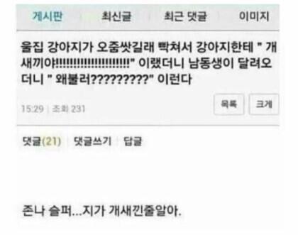 햇님이.