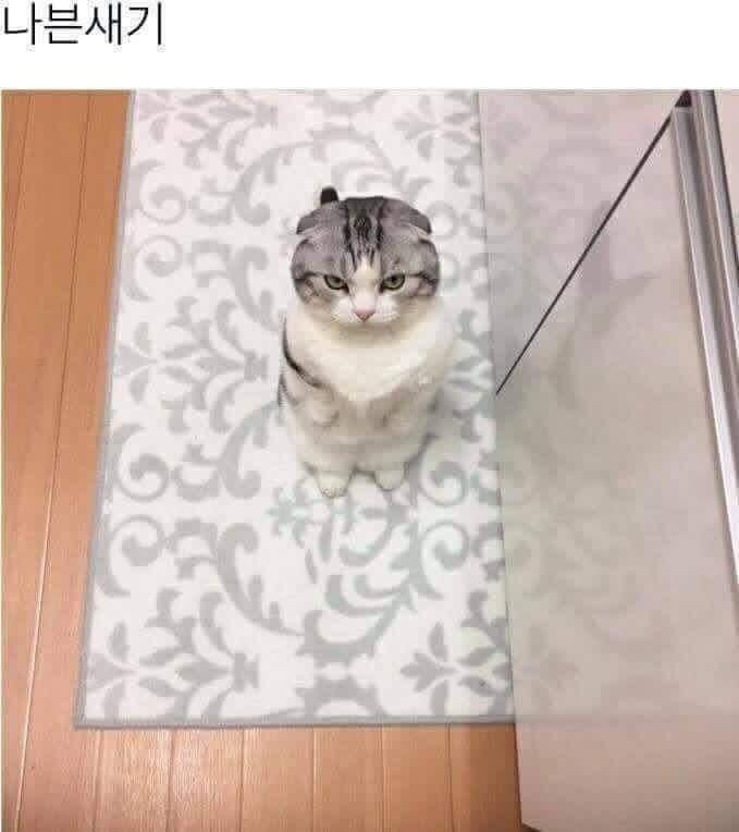 짠