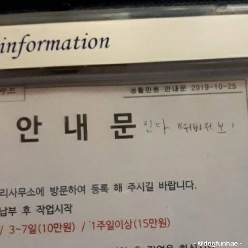 타코야키?