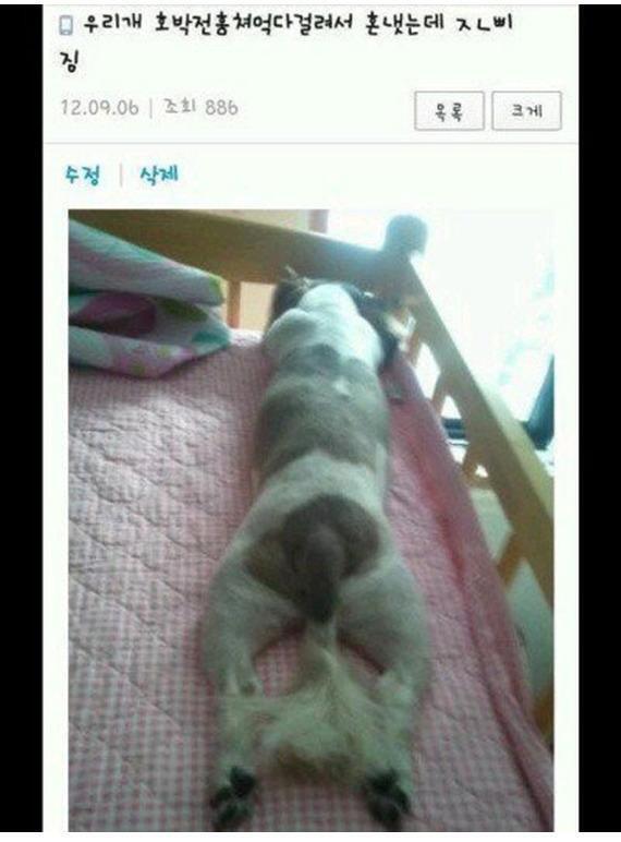 세번째 사진은 이건 왜 가지고 있을까라는 의문이 듦