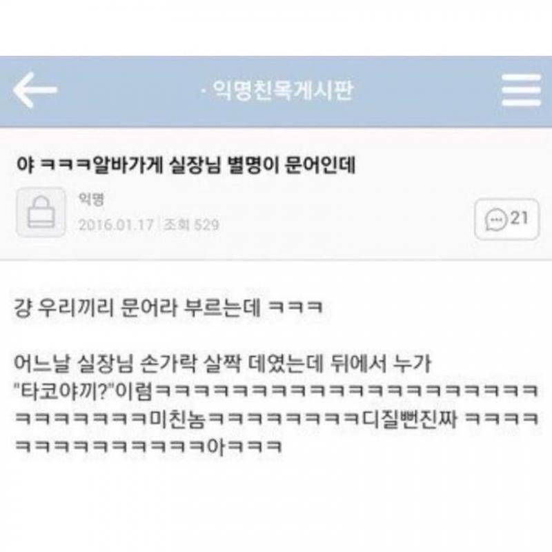 타코야키?