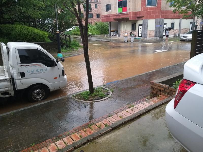 엉엉.. 스레주는 조심히 들어가!