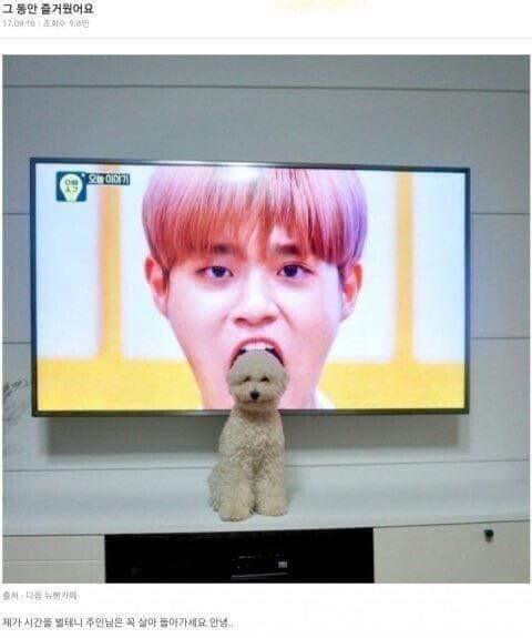 마무리는 이걸로 턴을 마친다
