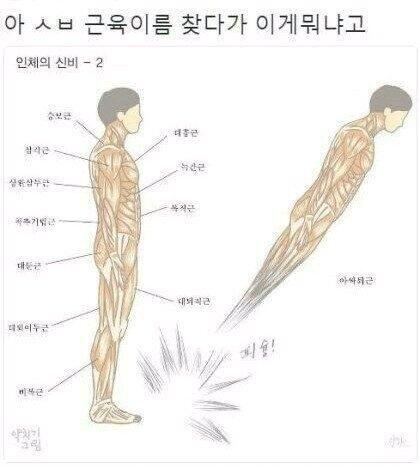 ㅋㅋㅋ넘웃겨