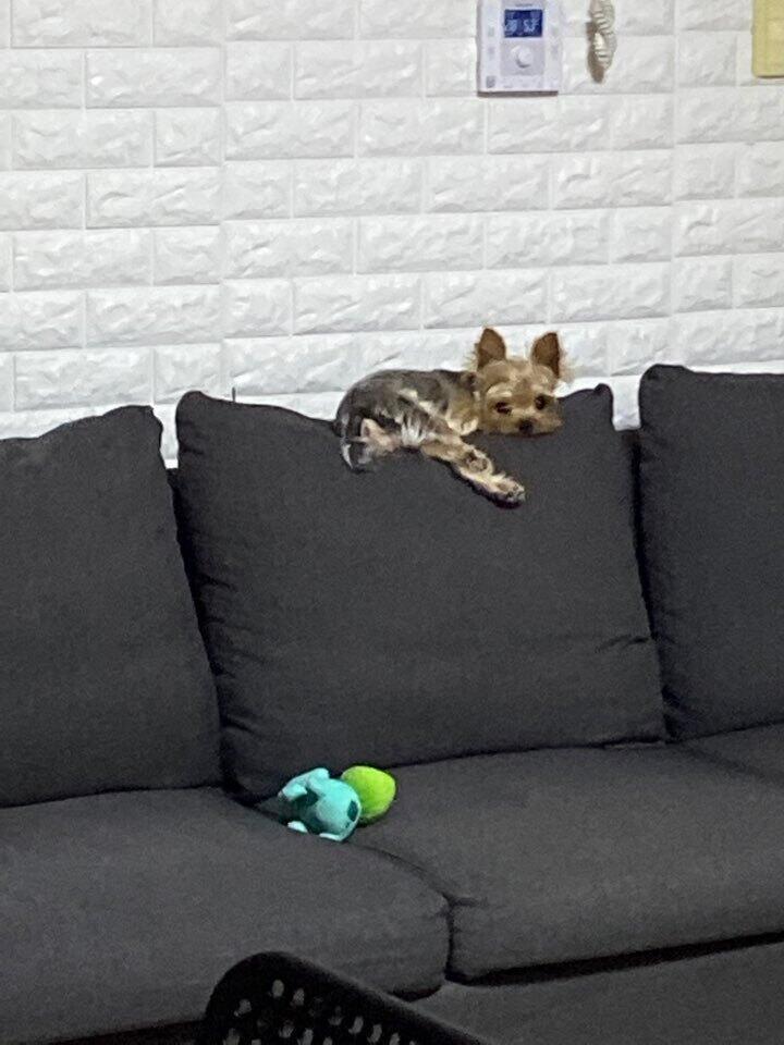 한 장 더 뿌립니당ㅋㅋㅋ