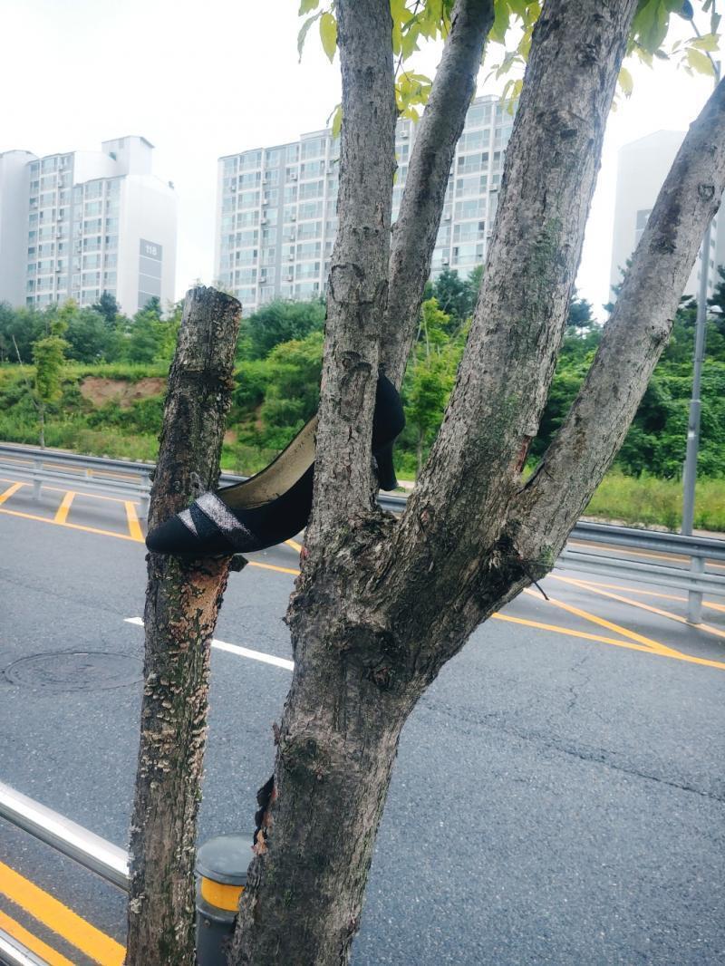 이거임....