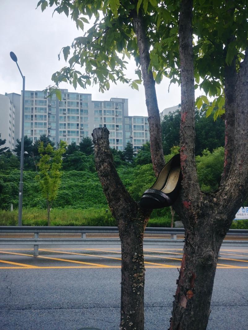 이거임....