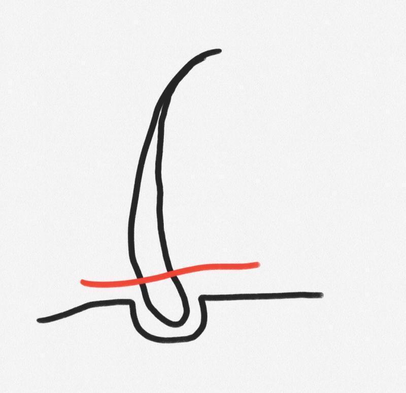 >>5 털이 몸에 박힌 뿌리는 두껍지만 끝으로 갈수록 얇아지지? 그걸 중간에 댕강 잘라버렸으니 두꺼워 보이는거야 뭔말인지 이해가 가려나;ㅅ;