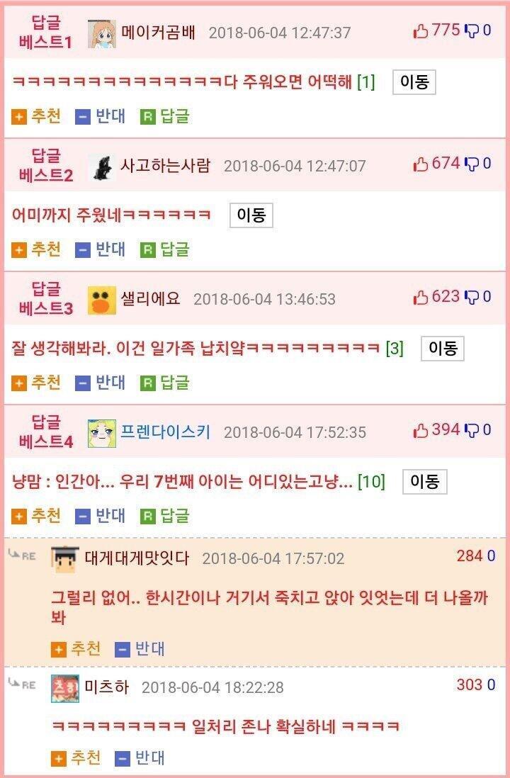 냥줍 레전드