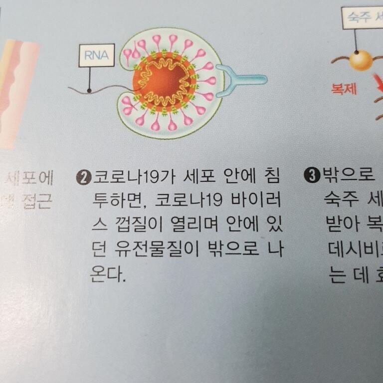 >>16 아 너가 말하는 그 유전정보 이동? 그게 이거 맞아??