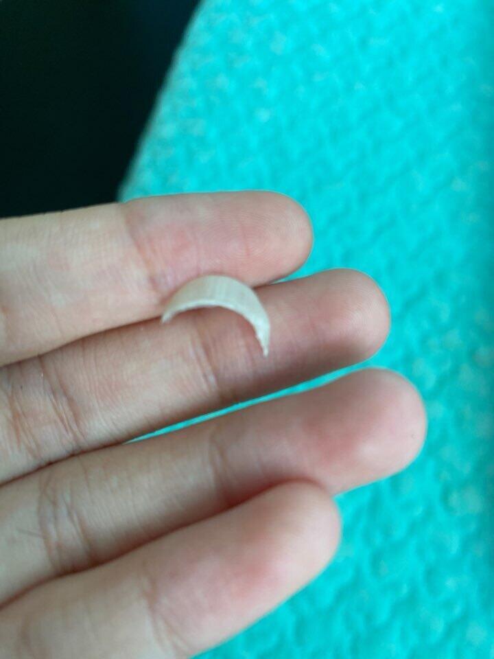 근데 그날 자다 깨나까 침대 머리맡에 손톱 있었어 이거 어떻게해야해?