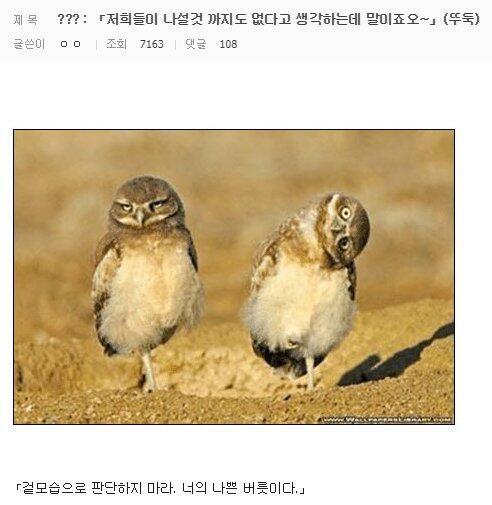 조류들