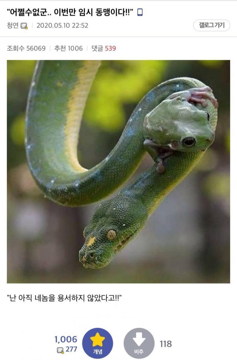 애니 클리셰
