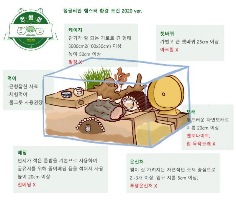 그리고 이거 참고해 사진은 정글환경인데 골든이거나 로보면 말해줘