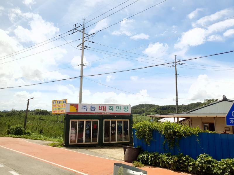 이거도 버스 배를 판뎅 근데 과일 배말고 진짜 통통배 파는 곳이더라.. 밖에 통통배들이 있었어