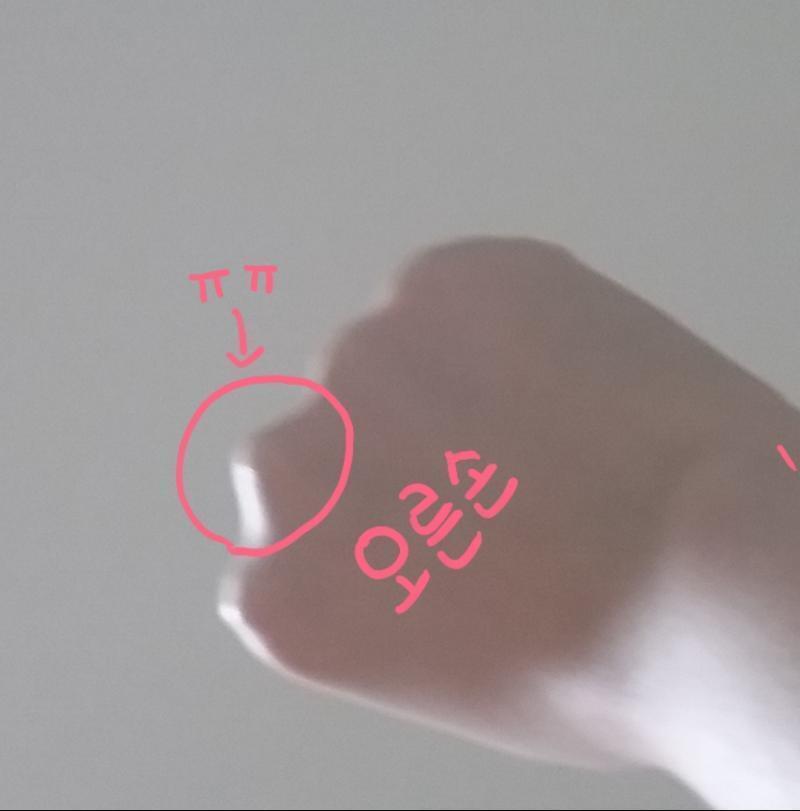 글고 이 손뼈? 크기가 왜 다른지 알아?