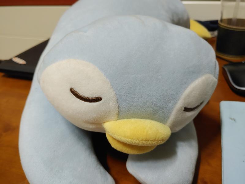 >>6 애는 동생 인형이긴 한데 가끔 만지면 기분 좋은 귄이