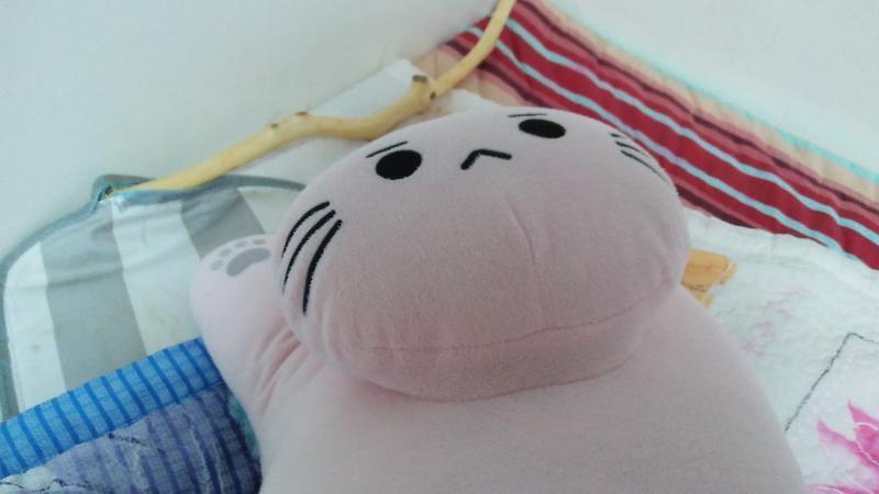최근 가장 아끼는 인형인데 이름은 없어!