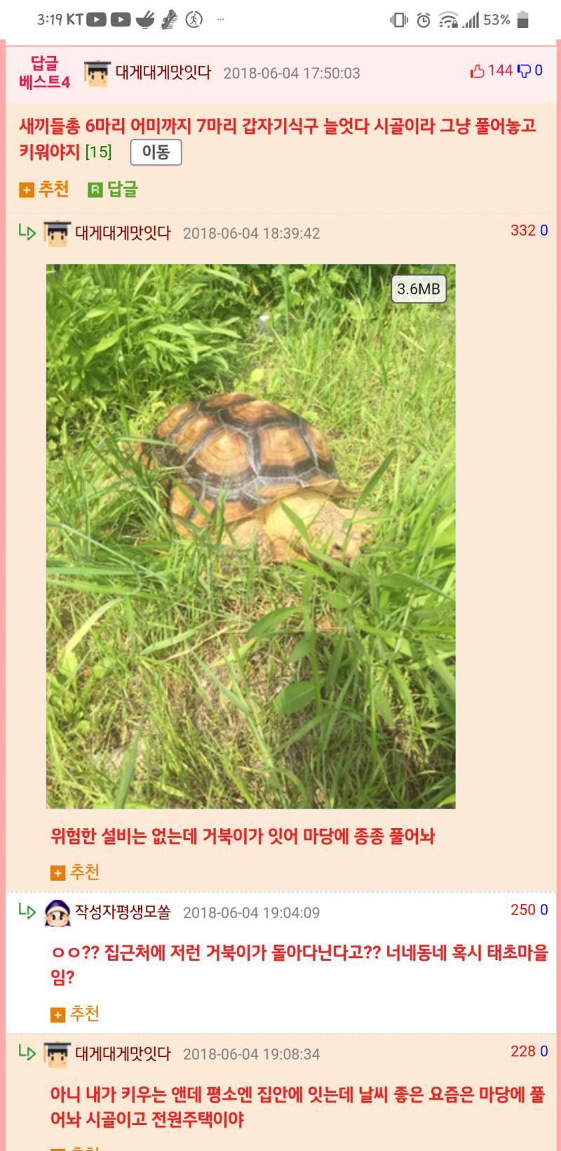 >>353 이 사람 찾아보니까 웃대에서 드루이드(?)로 유명하더라 거북이 키우고 개도 키우고 뱀도 키우고... 한달에30만원 든대