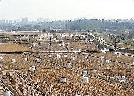 이것 참 곤란하네.... 차근차근 설명해야하나... 1. 건초더미는 건초더미다. 숀과 도리토스가 먹을 건초더미다. 2. 스레주는 건초더미하면 가