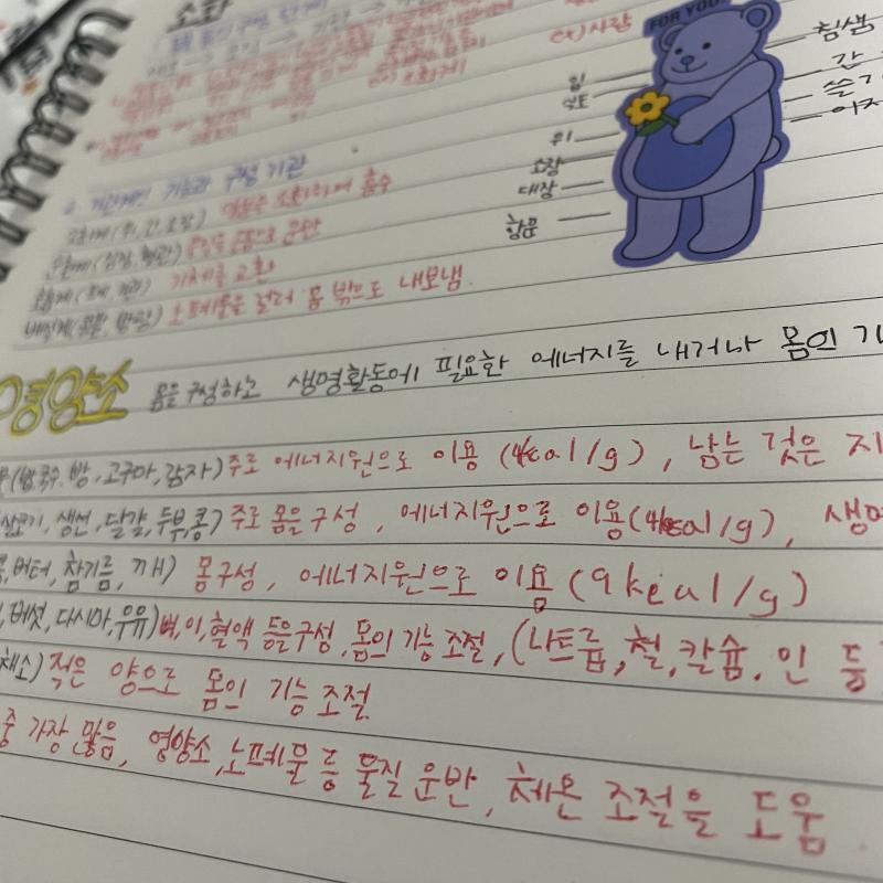 오늘 1시간 조금 안되게 공부했어...허헣 시험 끝났다고 놀기만 하다가 일주일만에 공부하려니까 안되더라고 잘하고 싶은 과목인 과학을 2학기 예습
