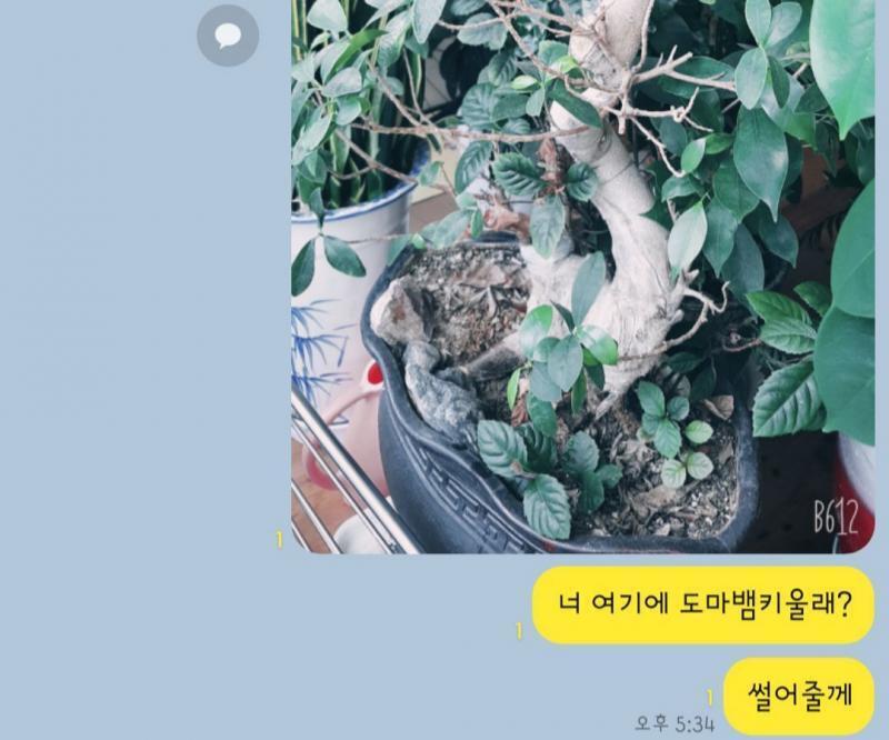 도마뱀키우는 친구한테 나댐