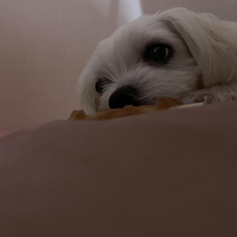 >>76 재도전~? 오 이제 올라간다!