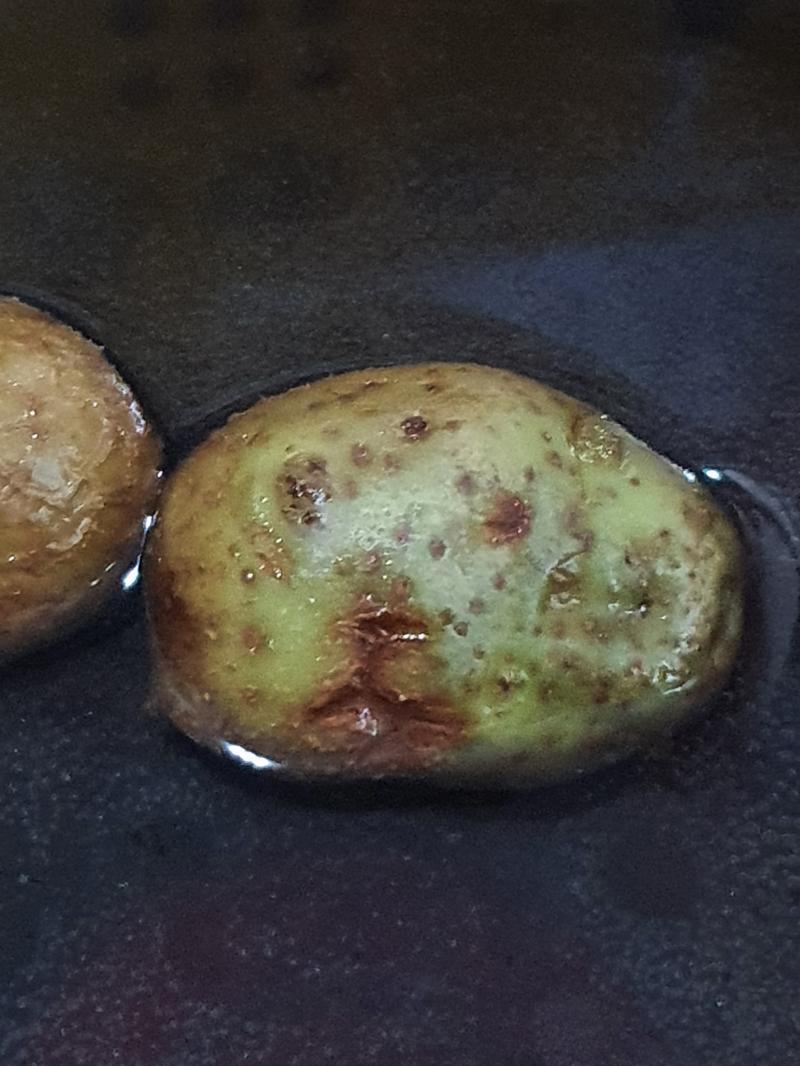 뜨거운 감자 애옹