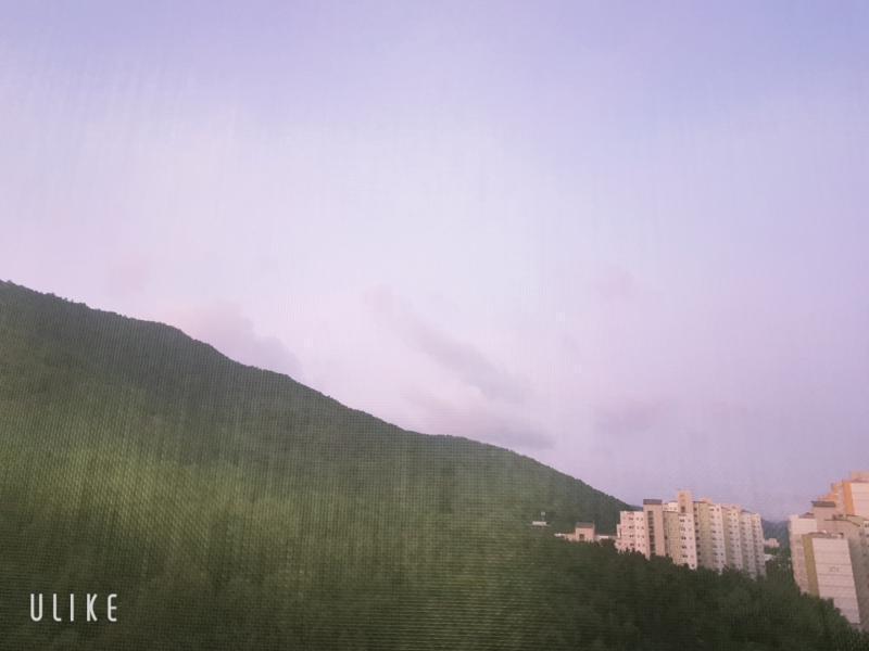 이거봐바