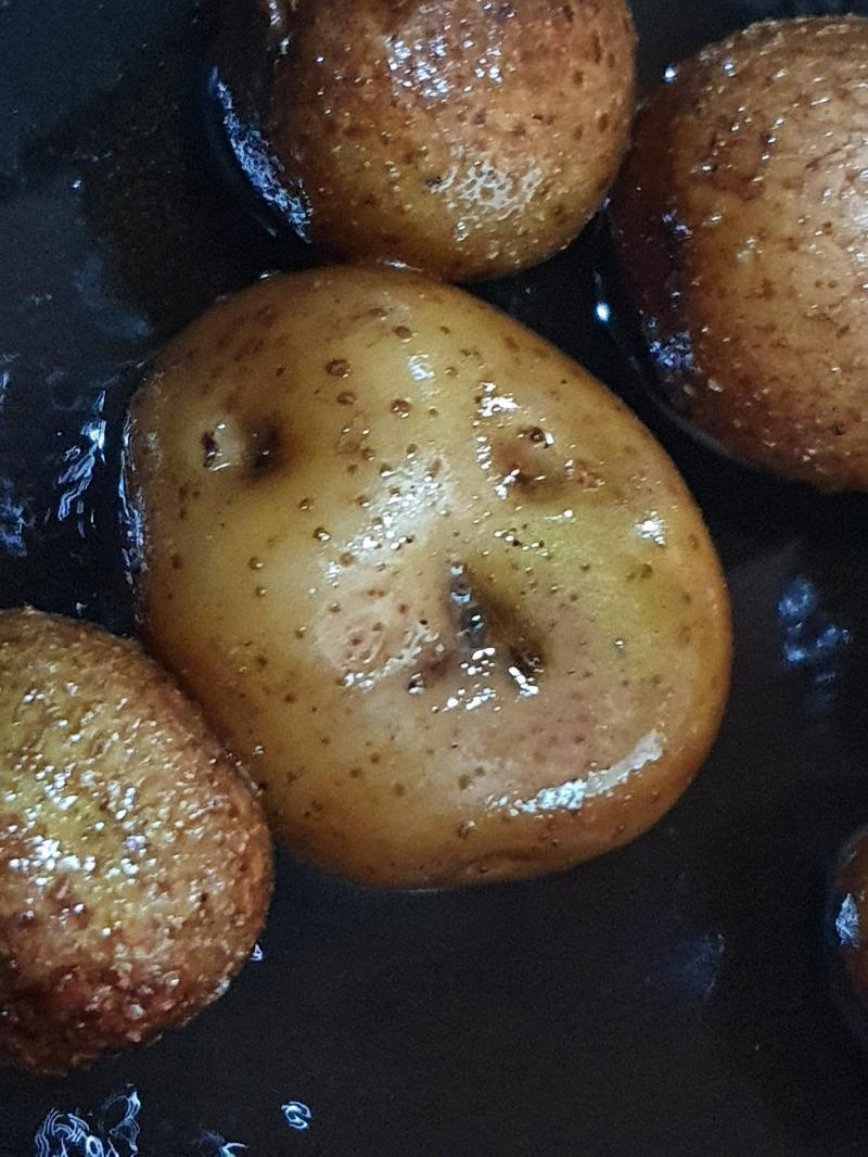 뉴페이스