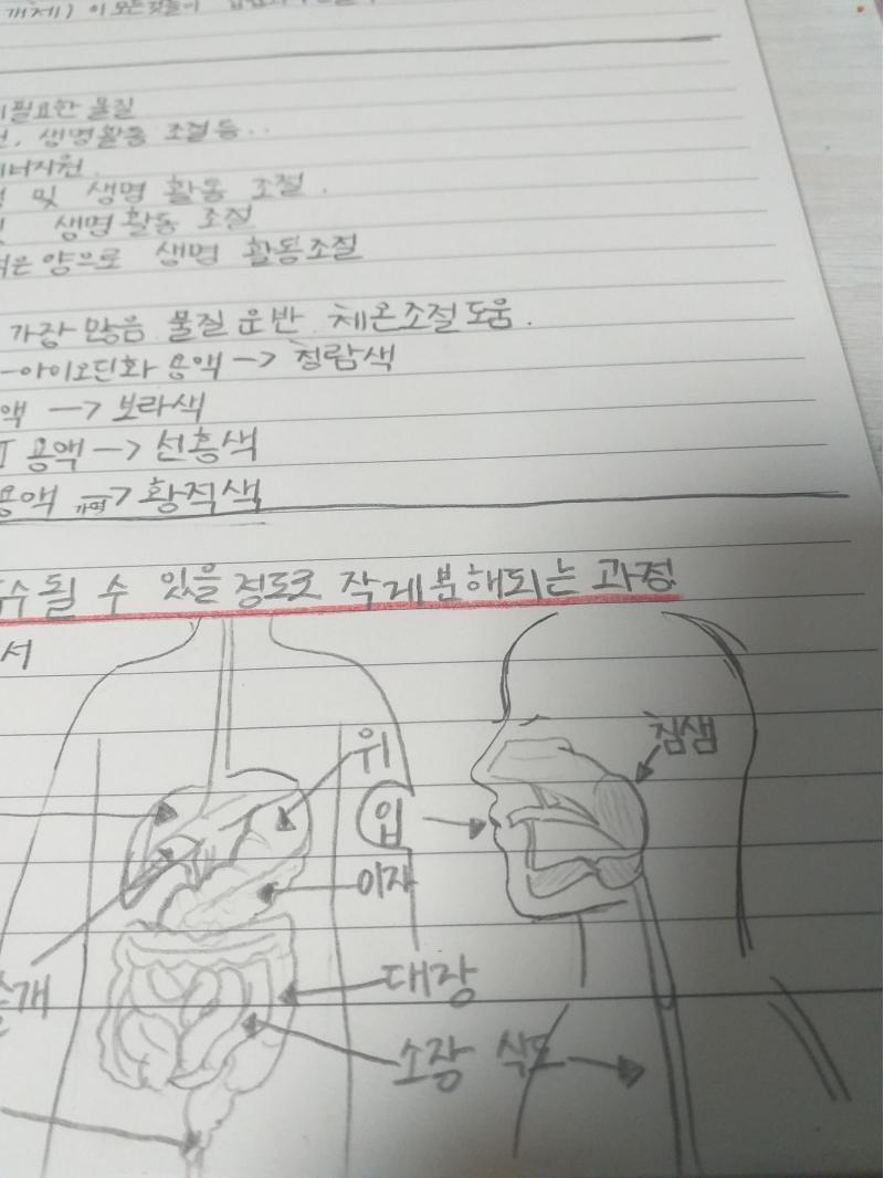 ㅎㅎ.. 못지킨거 3개.. 2번째 사진은 그냥.. 잘그려졌다고..자랑하려고.. ㅇㄴ 왜 안올라가..어 ㄸ됐다