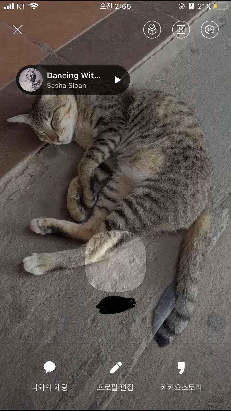 핳