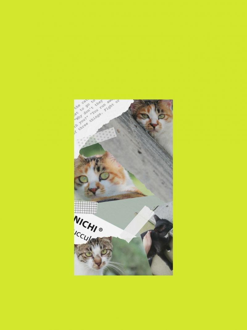 >>17 잠금 화면 하려 했는데 계속 레주사진 잘리는게 아쉬워서 내가 밑에 종이깔아봤어! 진짜 마음에 든다 헤헤😁💚💚( 홈화면은 사생활이라 홈하